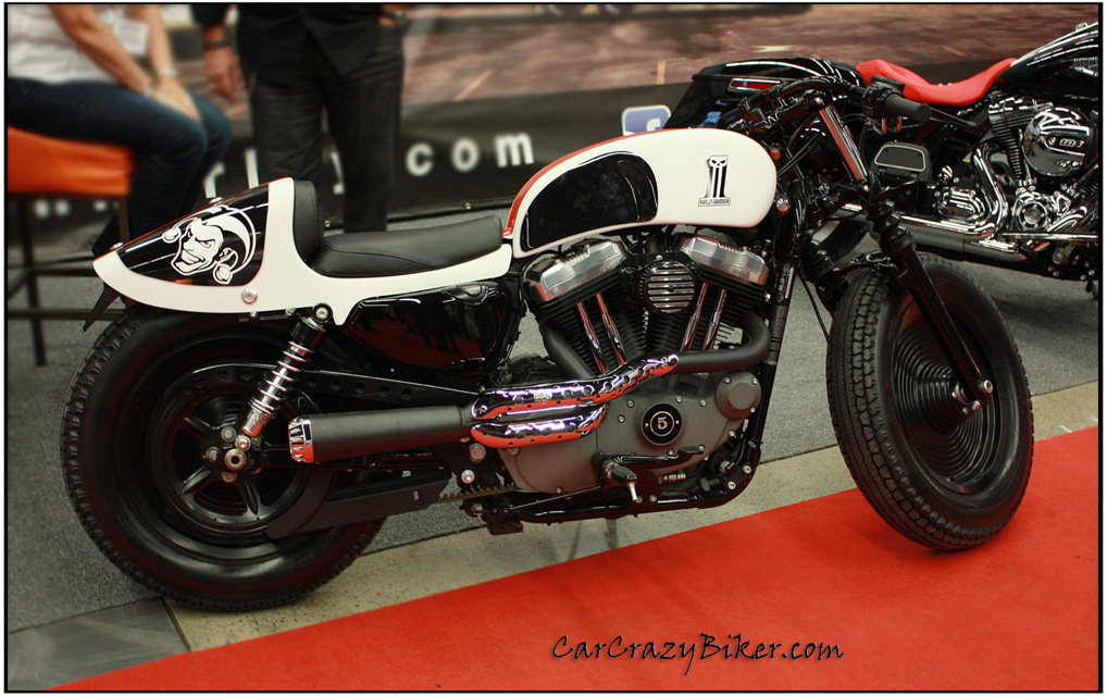 Harley Sportster -carcrazybiker